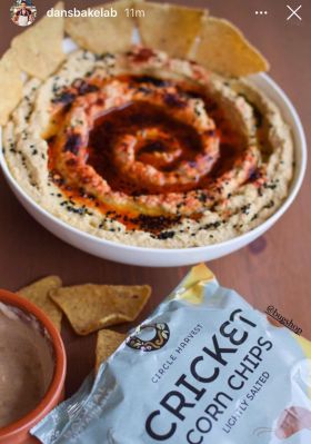 Circle Harvest Cricket Chips